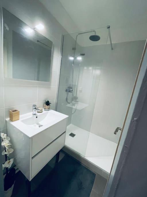 Appartement En Centre Ville, Wifi Et Tram 몽펠리에 외부 사진